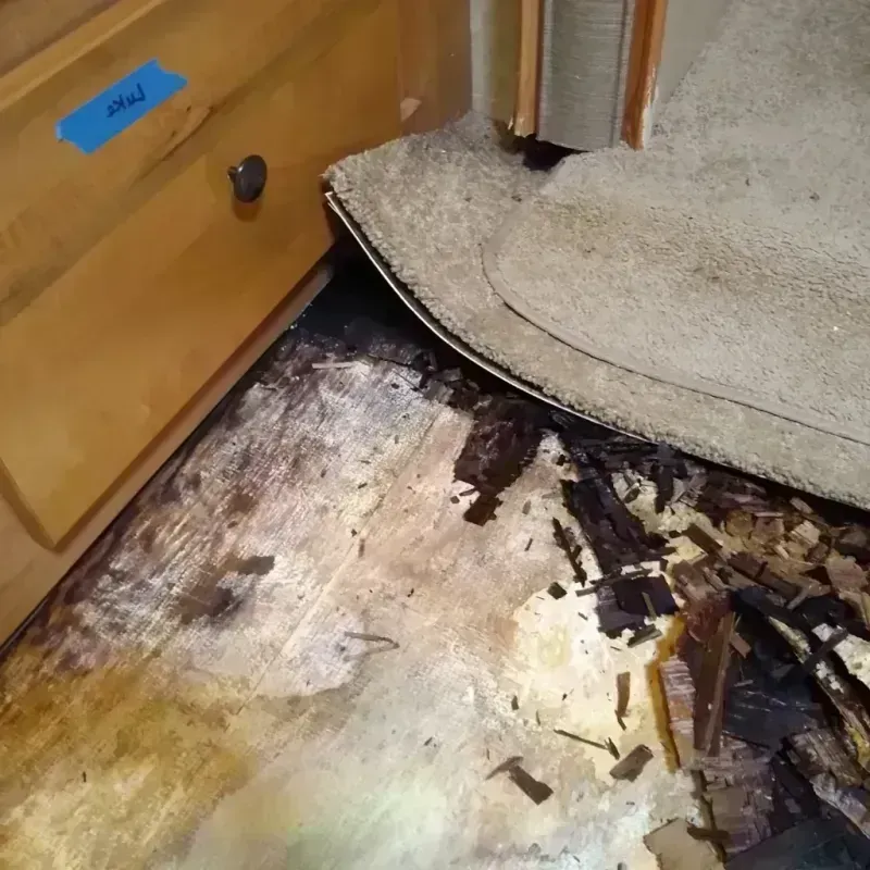 Wood Floor Water Damage in Morgan County, CO